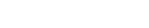 Portfolio Retina Logo